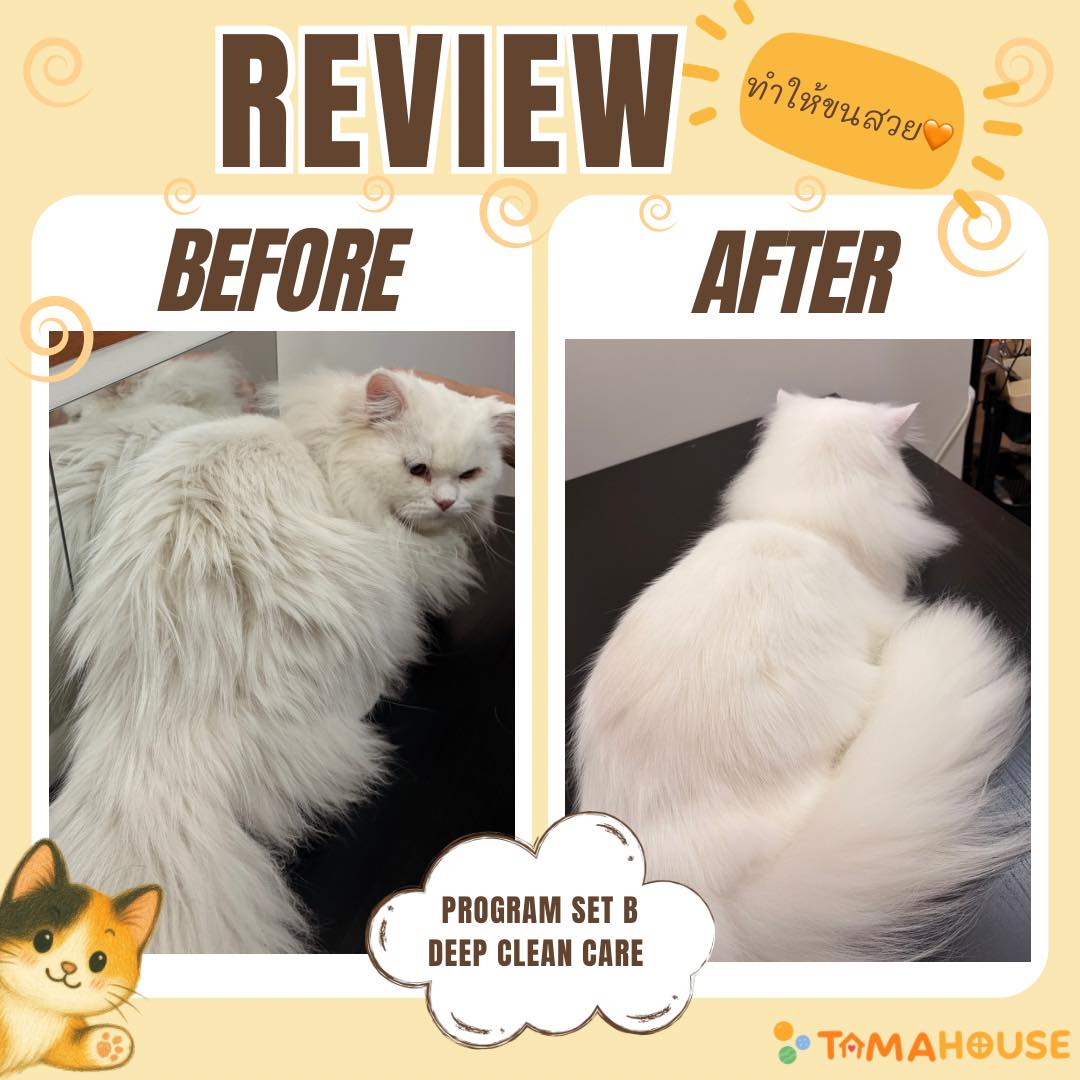 รีวิวอาบน้ำ 2